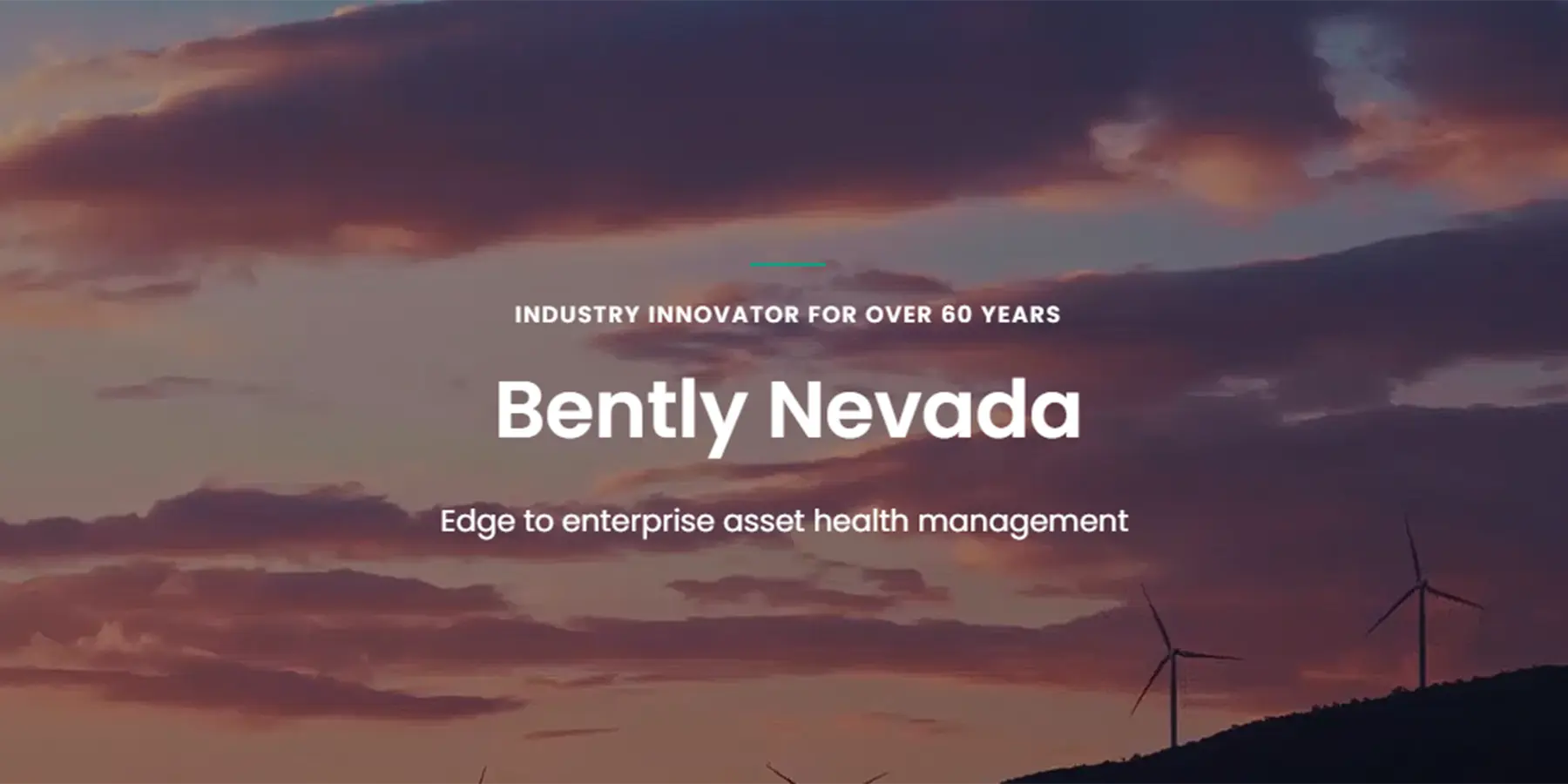 美国Bently Nevada®本特利耗材