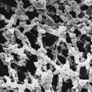 GSWP04700 美国密理博Millipore MF-Millipore™ 滤膜,孔径0.22 μm / MCE膜过滤器