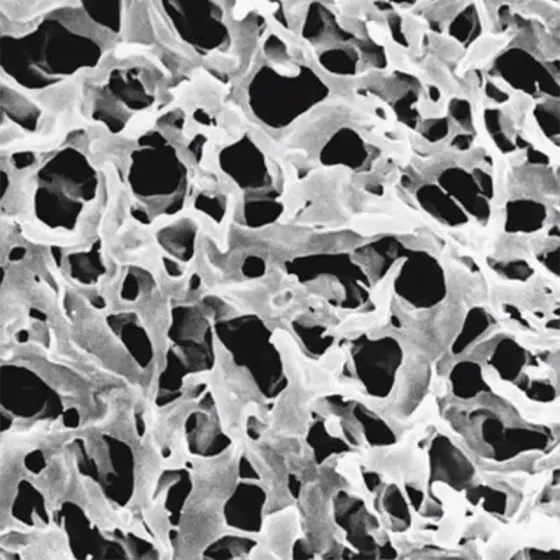 HVWG04700 美国密理博Millipore Durapore® 膜过滤装置, 0.45 µm / PVDF 膜过滤器